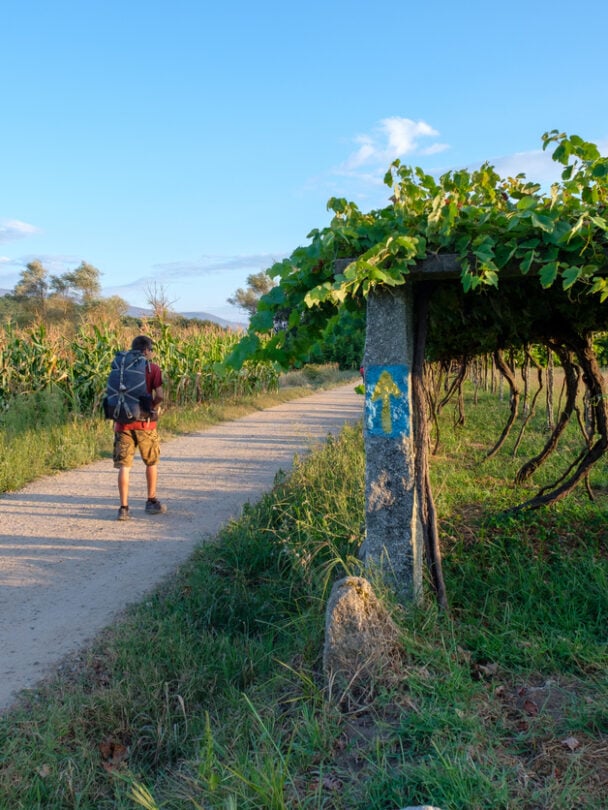 10-day camino de santiago