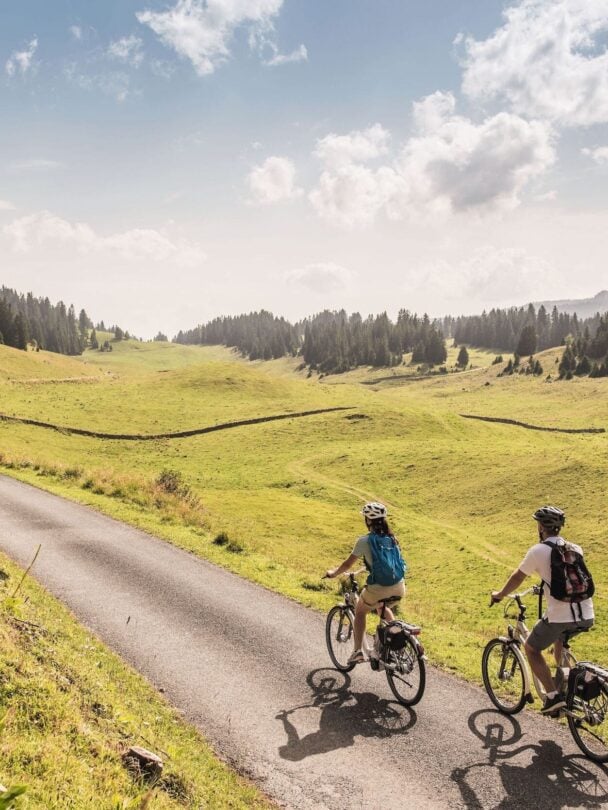 Grand Alps Tour in Switzerland, France, Italy