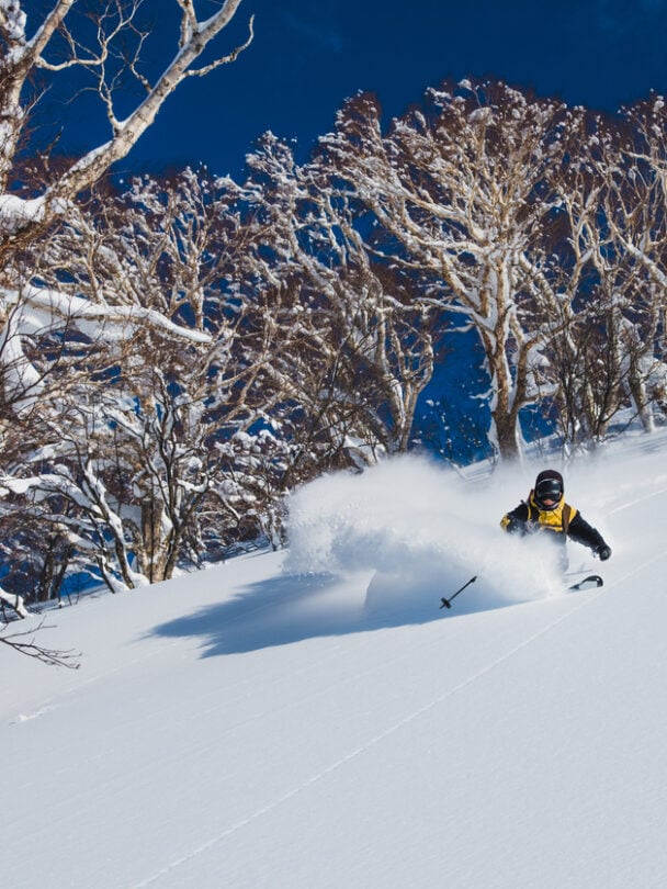 Guided backcountry skiing tour in Japan