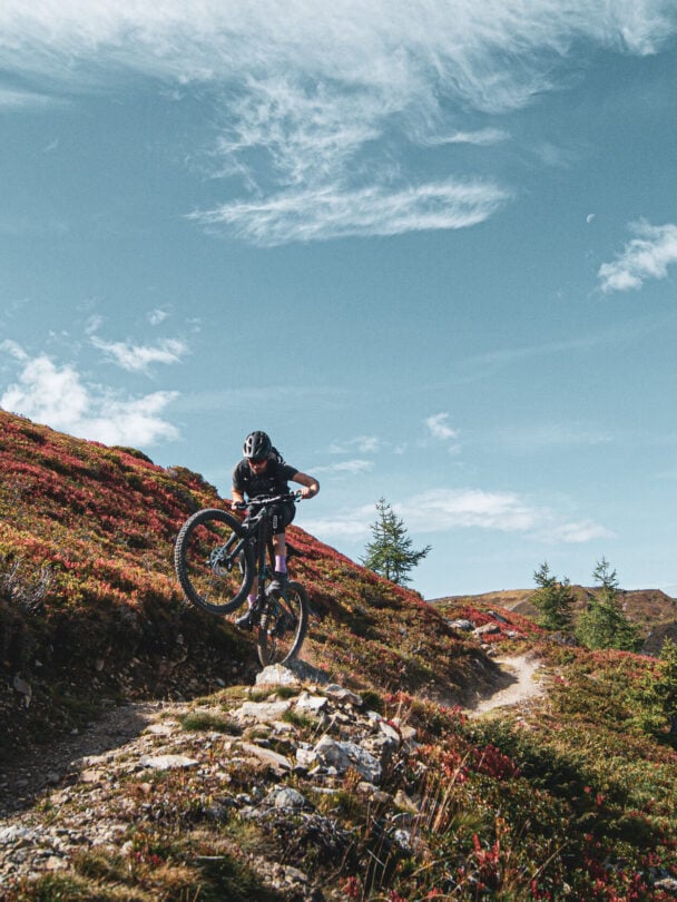Valais E-Bike Tour: Epic Downhill in the Swiss Alps
