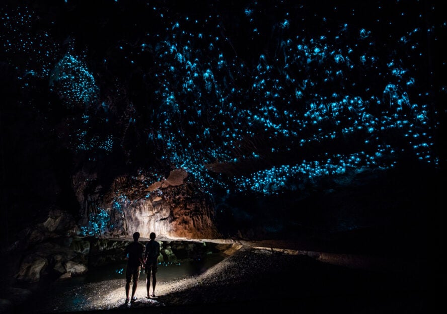 Couple staring up at the electric blue glow worms in a dark cave.