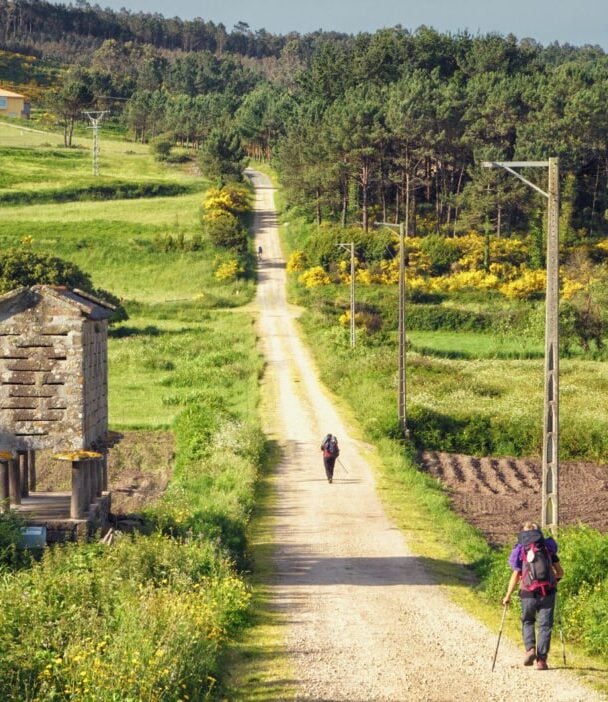 Camino de Santiago tours with local guides